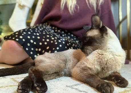 couple onlyfans free xxx photos