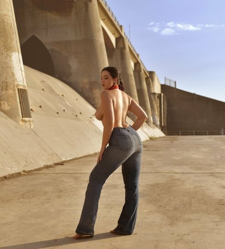 i mays nice star archive