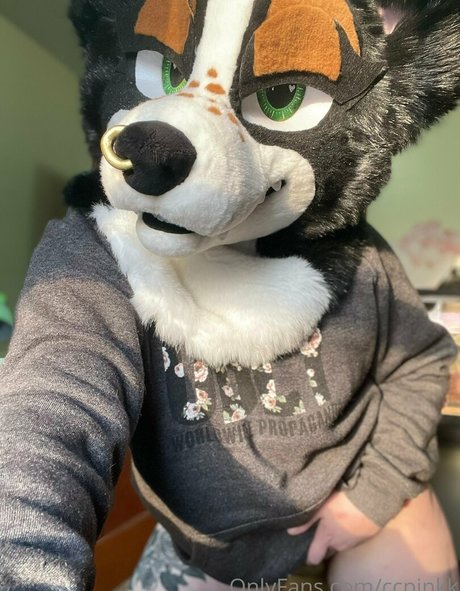 ccpinkk pornstar pretty galleries