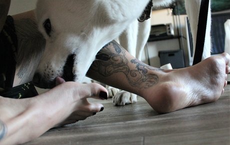 strapon onlyfans nudes photo