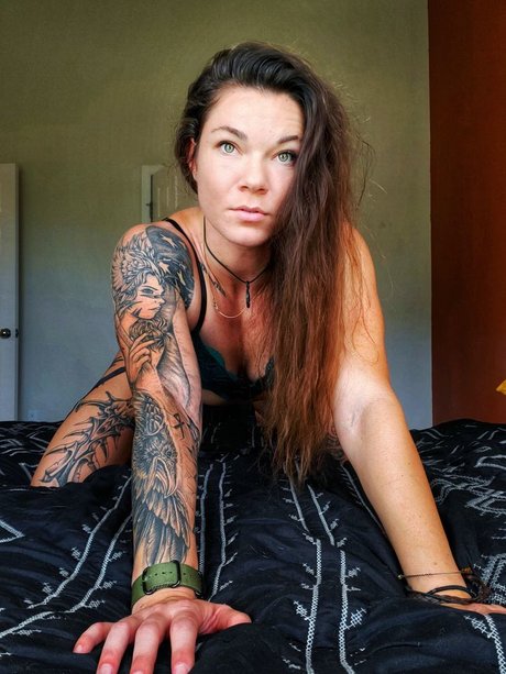 AmericanKat star img