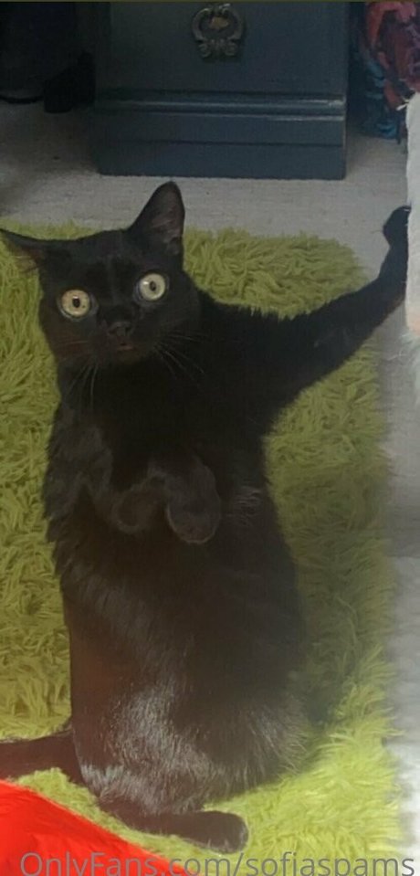 Sofia Porzio star xxx pic