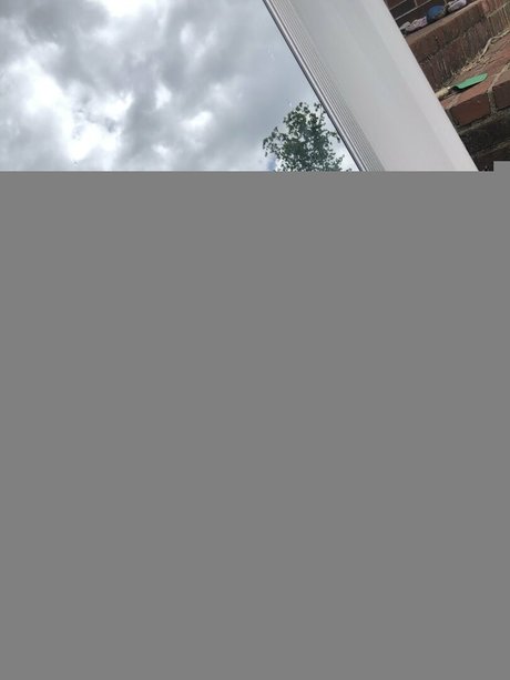 wickedwildrose star nudes img