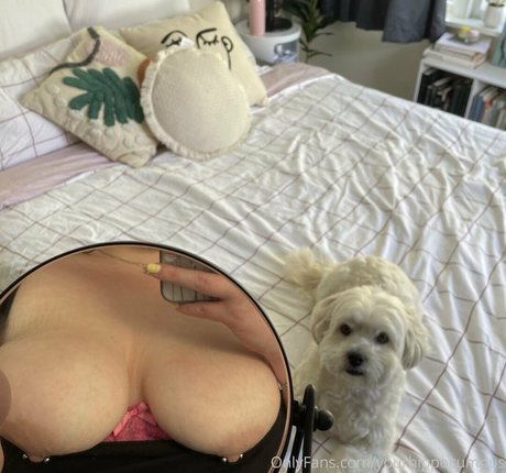 yourhippocumpus free model image