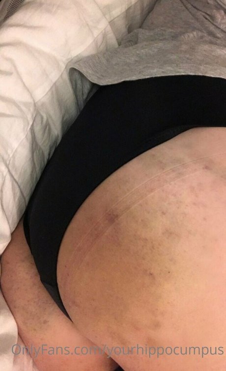 yourhippocumpus xxx pornstar archive