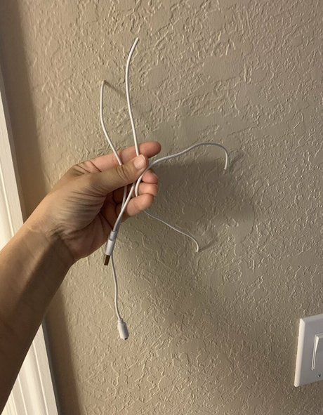 mustbecoralee high quality pornstar images