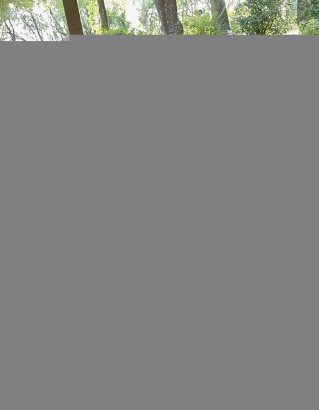 Teddy Mountinho star best photos