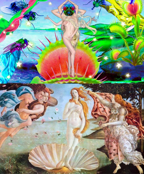 Evettes Niche erotic pornstar picture