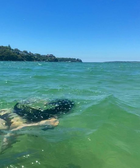 interracial threesome onlyfans hot xxx image