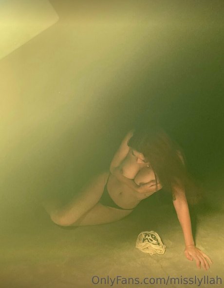 misslyllah pornstar adult archive