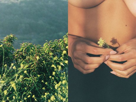 Alyssa Lynch model hot galleries