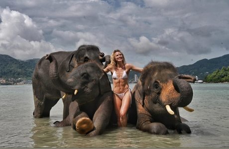 dark nipples onlyfans porn img