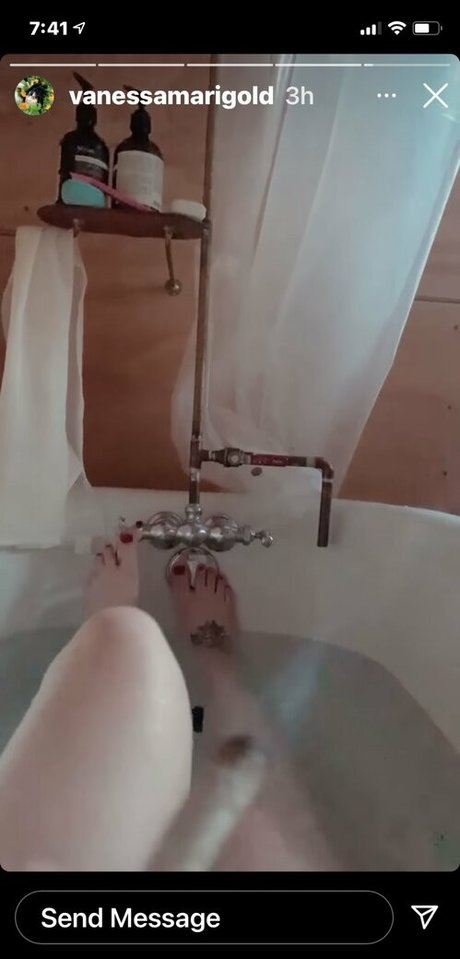 Vanessa Dora Lavorato beautiful pornstar img