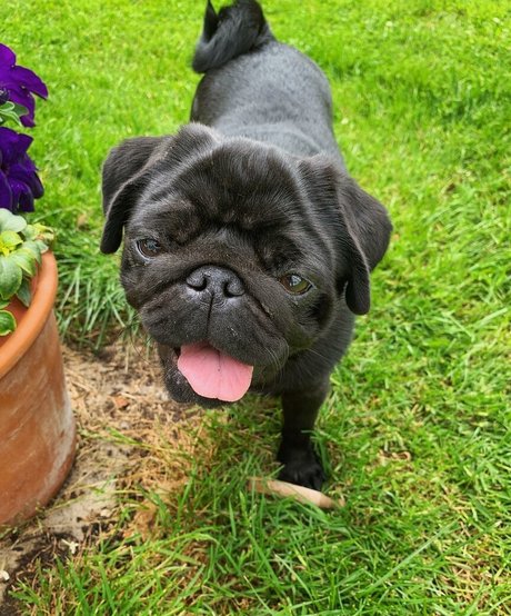 huge shemale onlyfans sexy xxx image