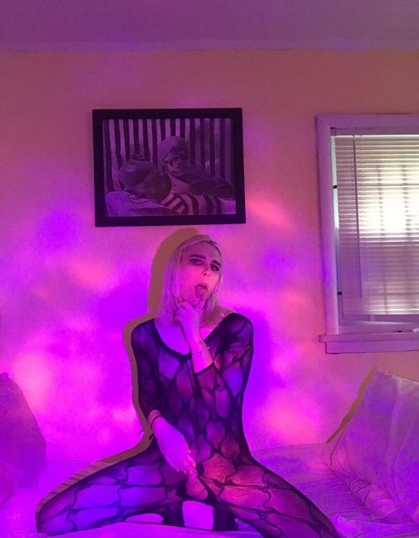 Aliss Disaster art star archive