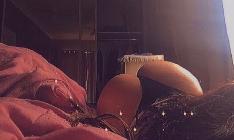 kc xoxxo model best picture