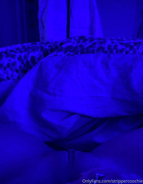 Mel Farahmand model pornographic images