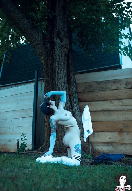 Skyhook Nova best pornstar img