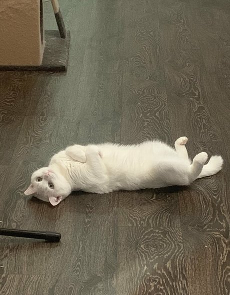 alt girl onlyfans art naked photos