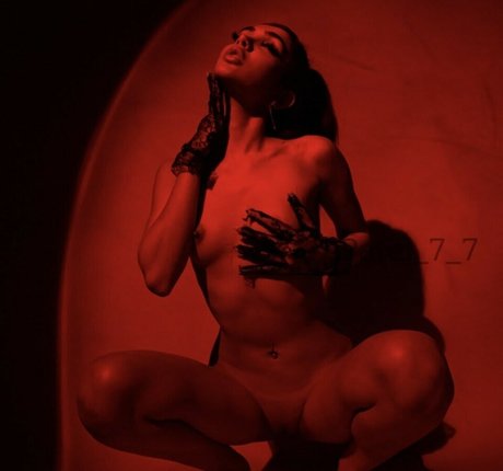 Vixenesha pornstar pics