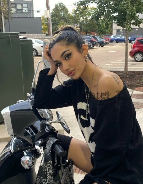 Vixenesha art star pictures