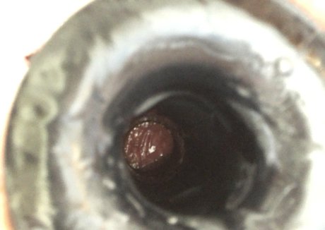 theabigailmae perfect model pics