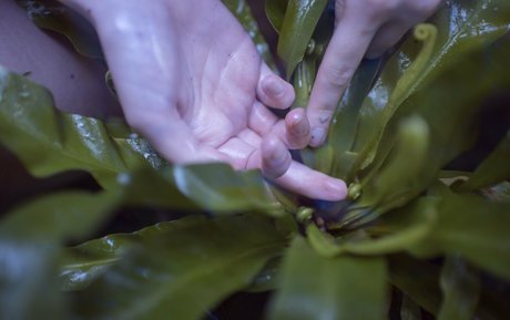 Kat Malone porn model galleries