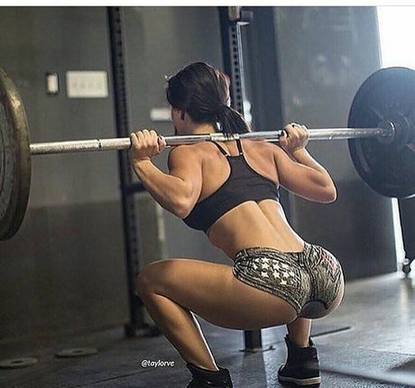 Taylor Vertucci Images