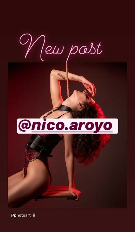 PhotoArt il pornographic actress archive