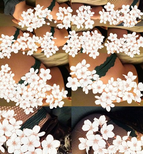 SmokeAndSomno best model pics