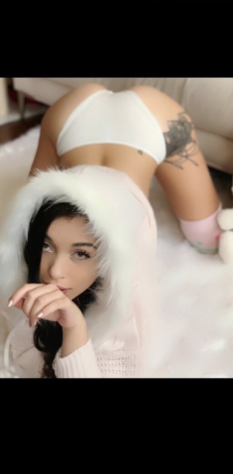 Hanamiblossom model top img