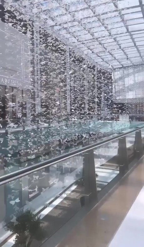 Tiona Fernan star sexy galleries