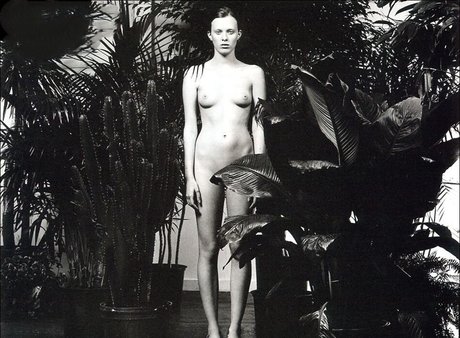 Karen Elson art pornstar images