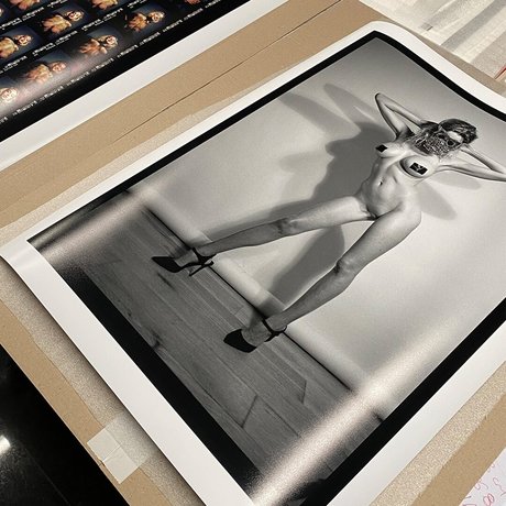 Elle Brittain pornstar top image