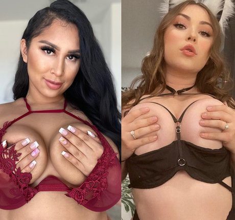 mrzmoco star archive