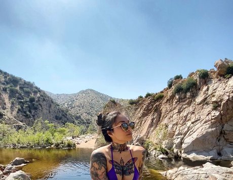 Babyxshai star free image