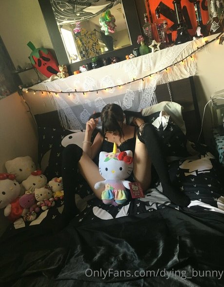Dying bunny pornstar beautiful gallery