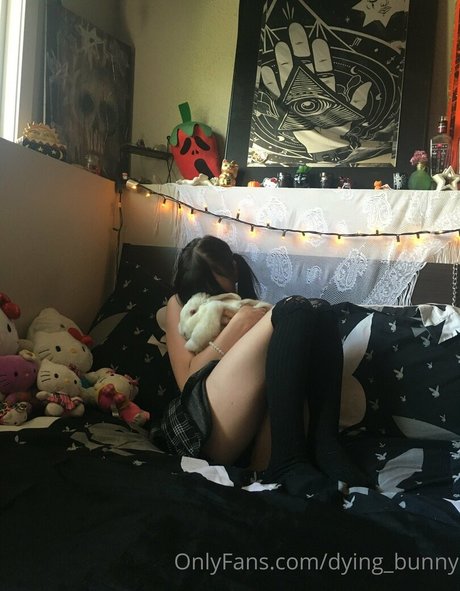 Dying bunny nude star pictures