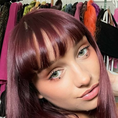 Flaurescent top star galleries