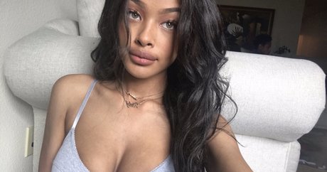 Vinetria high quality model galleries