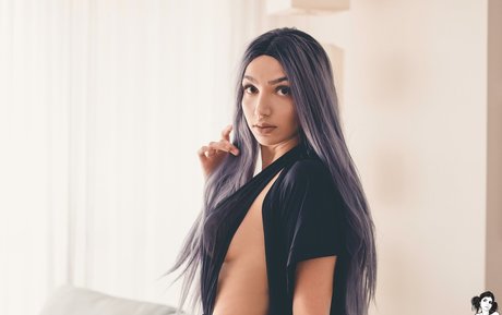 Rennvader hd star pictures