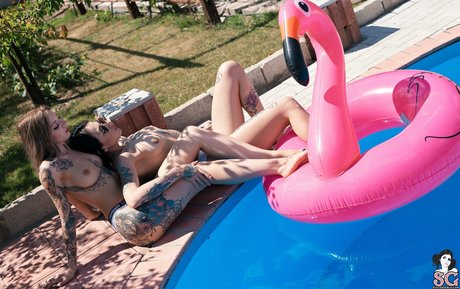 dildo onlyfans erotic gallery