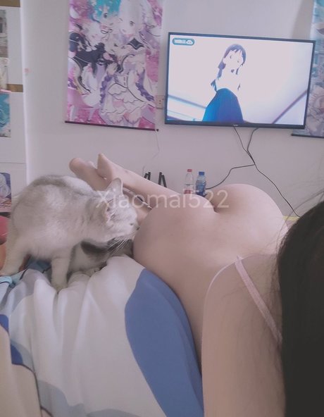 Xiaomai522 model erotic pictures
