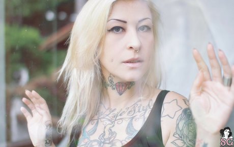 Kasha Lee top star picture