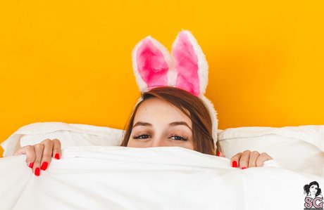 acamifox star erotic pics