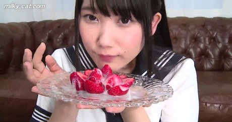 milky cat high quality star image