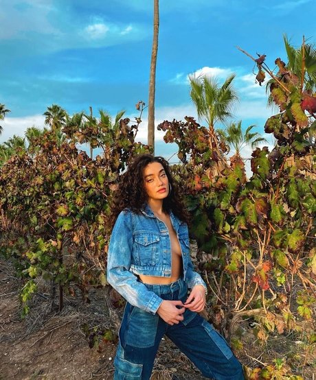 Liraz Nomdar star hd picture