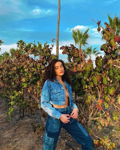 Liraz Nomdar naked pornstar pics