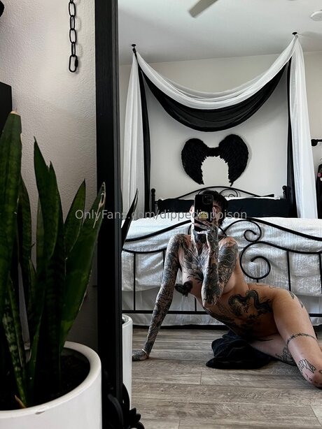 Dippedinpoison star hot photos
