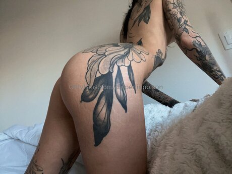 Dippedinpoison model perfect gallery